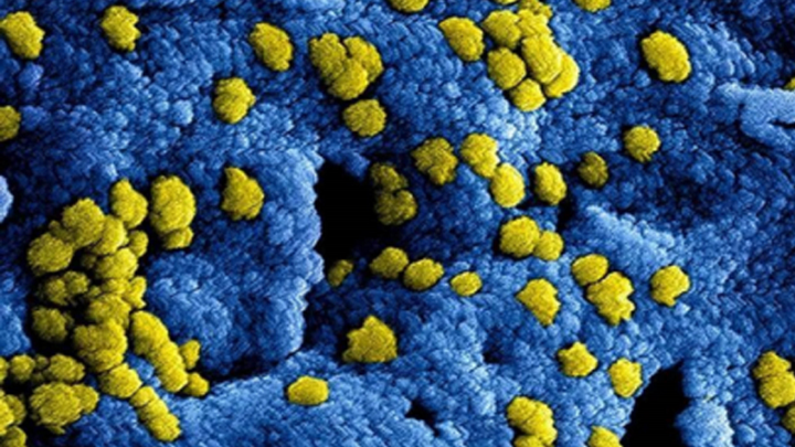 ANTE CORONAVIRUS, EXTREMAR PRECAUCIONES AL VIAJAR A ASIA ORIENTAL E INSULAR