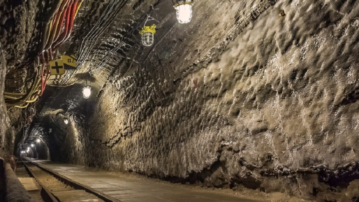 INDICADOR MENSUAL DE LA ACTIVIDAD INDUSTRIAL, NOVIEMBRE DE 2019