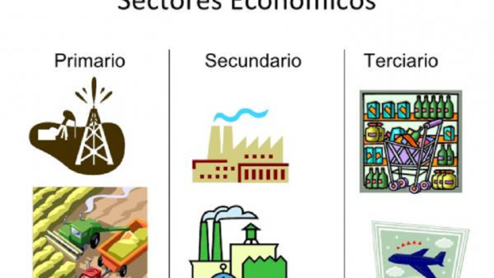 ÍNDICE GLOBAL DE PERSONAL DE LOS SECTORES ECONÓMICOS, DICIEMBRE 2019