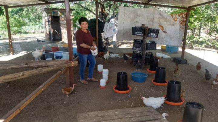 CAPACITAN A GRUPOS INDÍGENAS DE SONORA, EN PROYECTOS PRODUCTIVOS