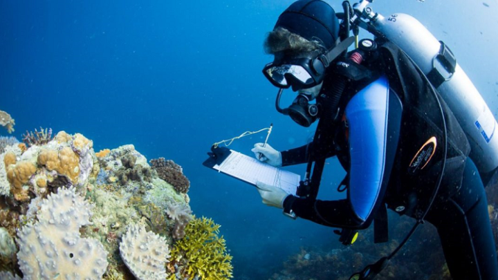 PREMIAN A UNIVERSITARIA POR COMPENDIO SOBRE DAÑO A ARRECIFES DE CORAL