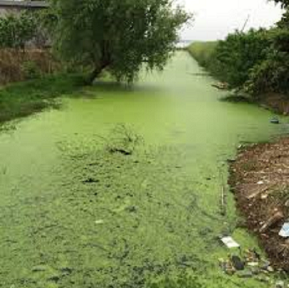 TECNOLOGÍA PARA ENFRENTAR CONTAMINACIÓN DEL AGUA