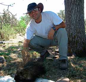 NECESARIO MONITOREAR SI HUMANOS TRANSMITEN SARS-CoV-2 A ANIMALES