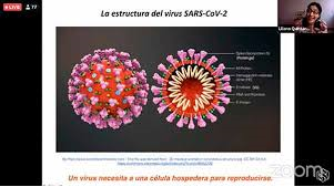 CON SINCROTRÓN, ANALIZAN ESTRUCTURA QUÍMICA DE SARS-CoV-2