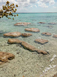 DAÑOS EN LA LAGUNA DE BACALAR