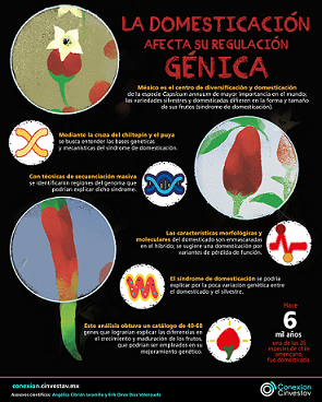 GENES DE CHILE DOMESTICADO GENERAN NUEVAS CONEXIONES