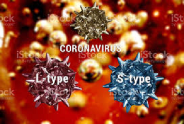 VARIACIONES EN EL COVID-19 PUEDEN GENERAR REINFECCIONES