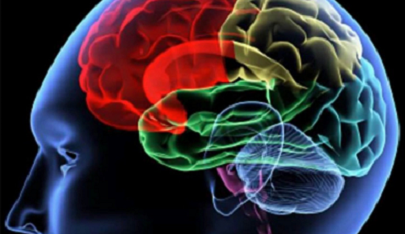 BANCO DE CEREBROS PARA DIAGNOSTICAR EN VIDA