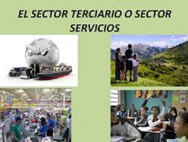 INDICADORES DEL SECTOR SERVICIOS, OCTUBRE 2020