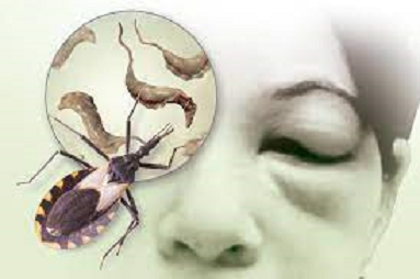 VISIBILIZAR LA ENFERMEDAD DE CHAGAS VISIBILIZAR LA ENFERMEDAD DE CHAGAS
