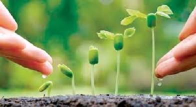 IMPULSO A LA EDUCACIÓN AMBIENTAL EN LOS NIVELES DE ENSEÑANZA IMPULSO A LA EDUCACIÓN AMBIENTAL EN LOS NIVELES DE ENSEÑANZA