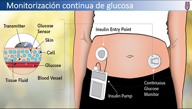 TECNOLOGÍA EMERGENTE PARA FORTALECER DESEMPEÑO DE NUTRIÓLOGOS