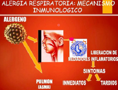 ASMÁTICOS DEBEN CONTINUAR SU TRATAMIENTO Y REFORZAR CUIDADOS