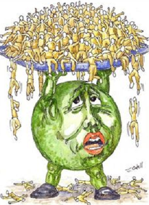 ESTADÍSTICAS DEL DÍA DE LA ONU PARA LA APF (23 DE JUNIO)