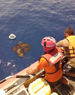 LIBERAN SONDAS OCEANOGRÁFICAS EN QUINTANA ROO