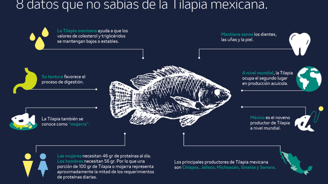 LA TILAPIA CUIDA TU CORAZÓN LA TILAPIA CUIDA TU CORAZÓN