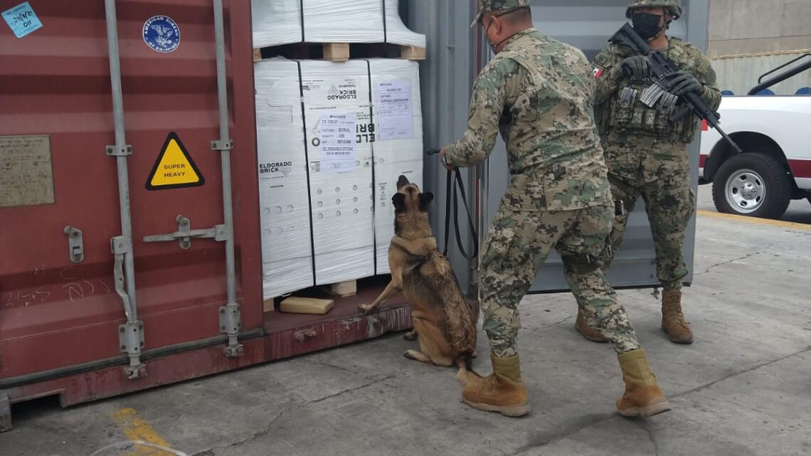 ASEGURAMIENTO DE DROGA, EN ENSENADA, B.C.