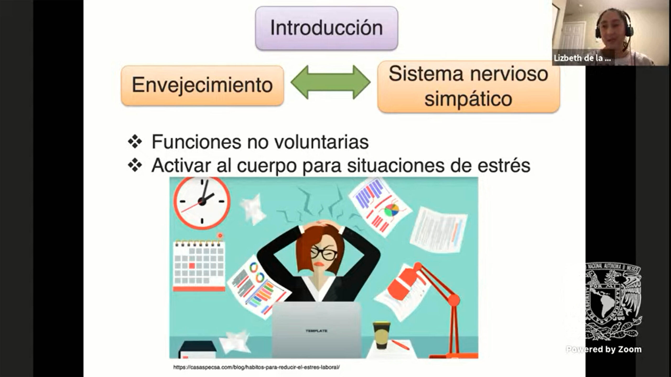 EN 2050, EN EL MUNDO UNA DE CADA SEIS PERSONAS TENDRÁ 65 AÑOS O MÁS