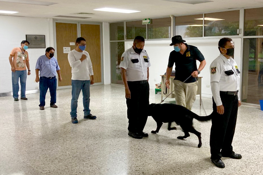 PROYECTO PARA MEJORAR LA EFICACIA DE PERROS DETECTORES DE COVID-19 PROYECTO PARA MEJORAR LA EFICACIA DE PERROS DETECTORES DE COVID-19