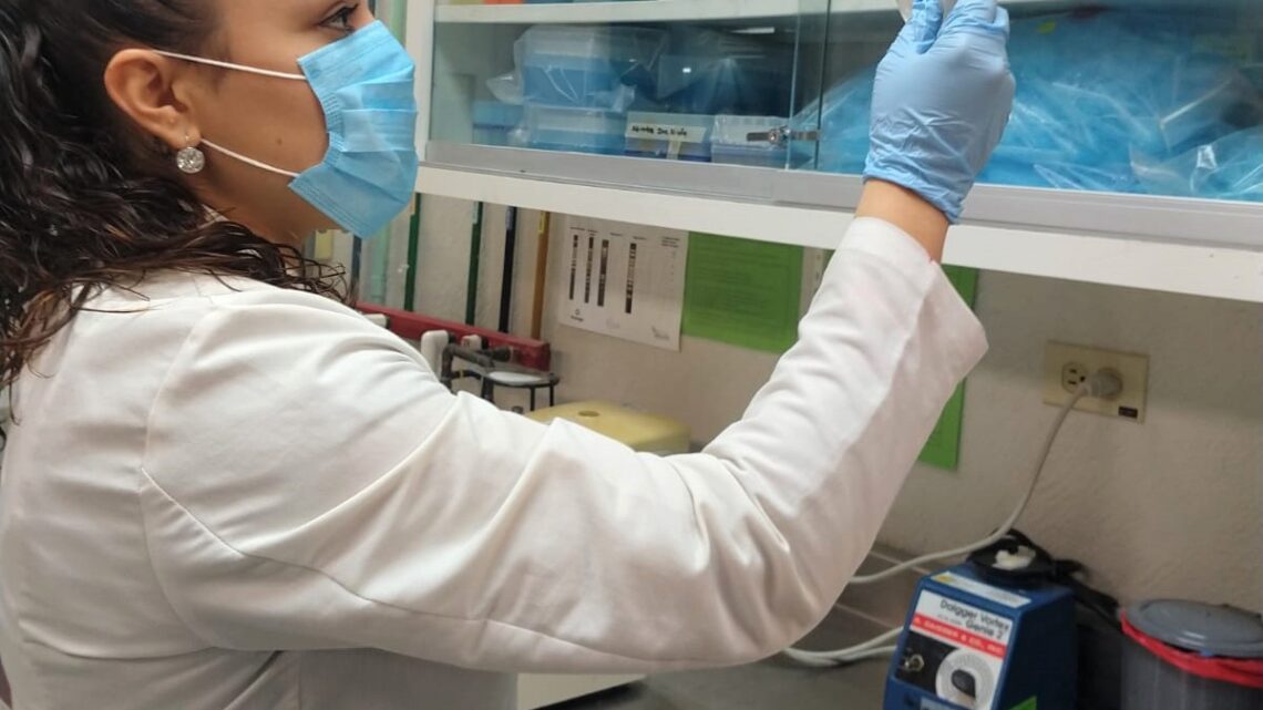 ESTUDIA BACTERIAS PARA DEGRADAR INSECTICIDAS EN SUELOS ESTUDIA BACTERIAS PARA DEGRADAR INSECTICIDAS EN SUELOS