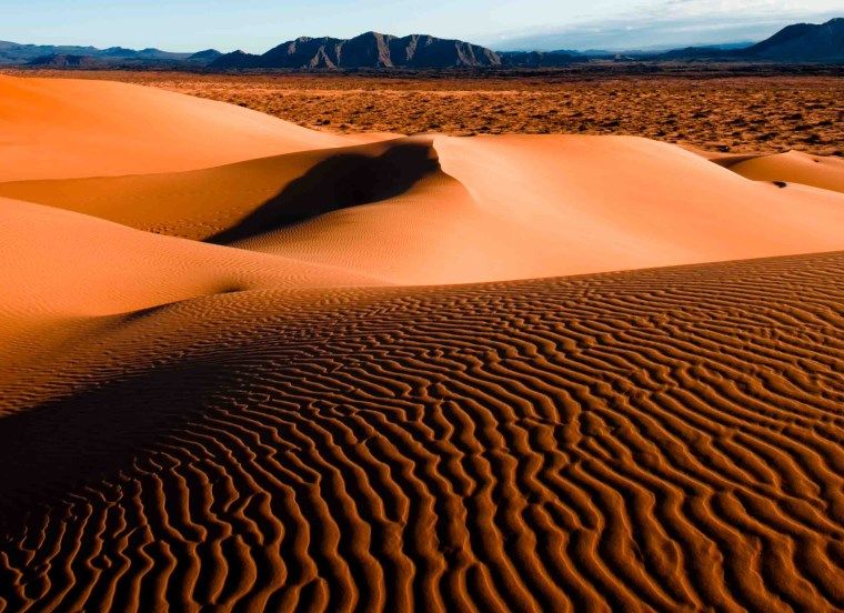 ACCIONES PARA FORTALECER LA ACTIVIDAD TURÍSTICA DE SONORA