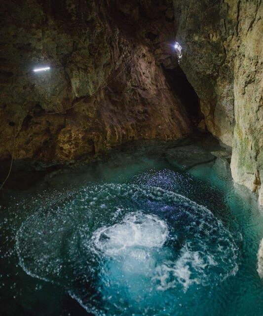 INSTAN A TRIBUNAL A IMPEDIR OPERACIÓN DE GRANJA INDUSTRIAL DE CERDOS EN LA PENÍNSULA DE YUCATÁN