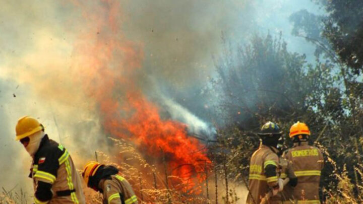 EVITAR INCENDIOS PARA DISMINUIR CONTINGENCIAS AMBIENTALES