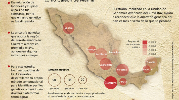 EL LEGADO GENÉTICO DE LA MIGRACIÓN ASIÁTICA EN MÉXICO