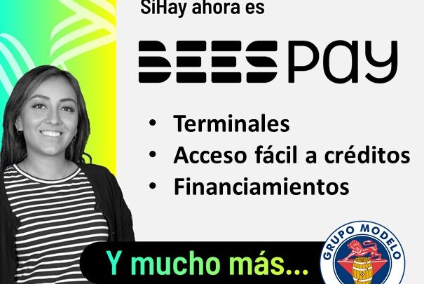 APOYO A LAS PYMES MEXICANAS A TRAVÉS DE BEES PAY