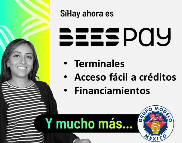 APOYO A LAS PYMES MEXICANAS A TRAVÉS DE BEES PAY APOYO A LAS PYMES MEXICANAS A TRAVÉS DE BEES PAY