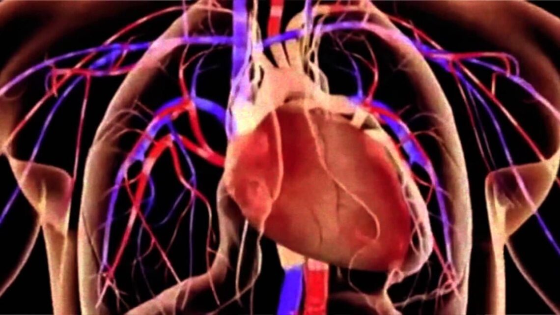 LA HIPERTENSIÓN ARTERIAL PULMONAR LA HIPERTENSIÓN ARTERIAL PULMONAR