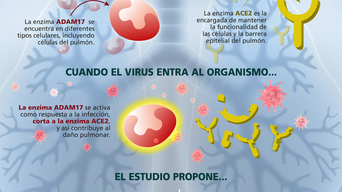 AVANZA INVESTIGACIÓN EN TRATAMIENTO MEXICANO CONTRA COVID-19 AVANZA INVESTIGACIÓN EN TRATAMIENTO MEXICANO CONTRA COVID-19
