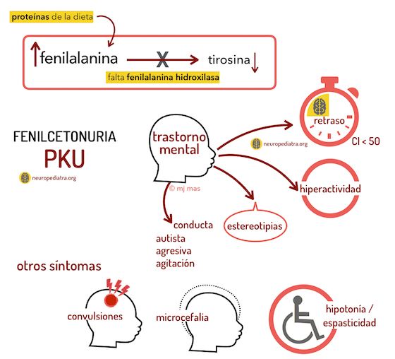 FENILCETONURIA CAUSA DAÑO CEREBRAL PERMANENTE EN RECIÉN NACIDO