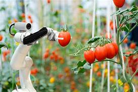 BUSCAN JÓVENES EMPRENDEDORES QUE TRANSFORMEN LA INDUSTRIA AGROALIMENTARIA BUSCAN JÓVENES EMPRENDEDORES QUE TRANSFORMEN LA INDUSTRIA AGROALIMENTARIA