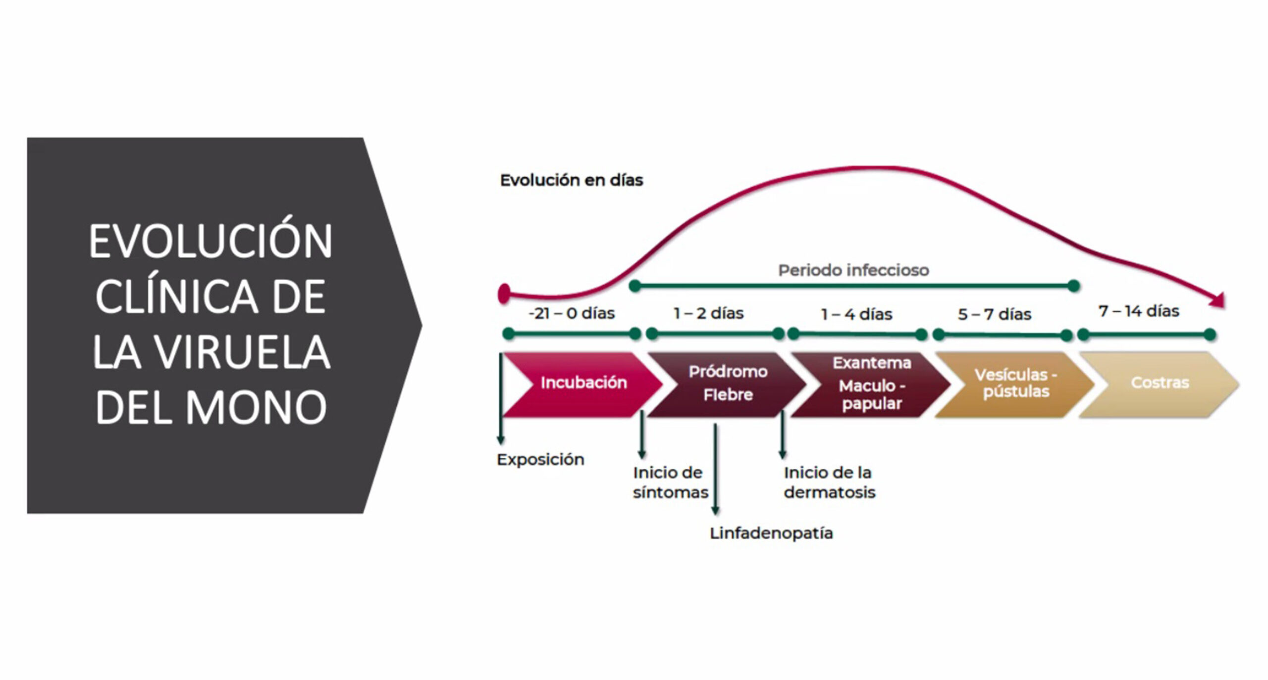 AUNQUE SE DESCARTA HOSPITALIZACIÓN, URGE PREVENCIÓN ANTE LA VIRUELA DEL MONO