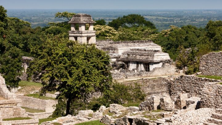 EL SURESTE DE MÉXICO EN LA PRÓXIMA REUNIÓN DE LA ORGANIZACIÓN MUNDO MAYA