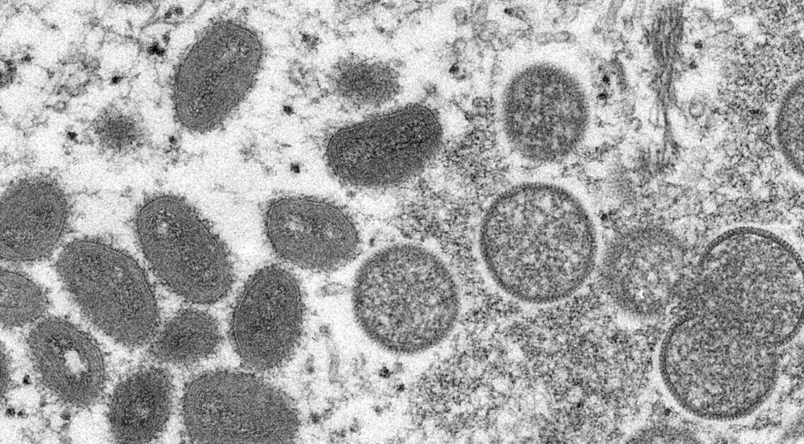 SEGUNDO AVISO EPIDEMIOLÓGICO Y SE ACTIVA SITIO SOBRE VIRUELA SÍMICA SEGUNDO AVISO EPIDEMIOLÓGICO Y SE ACTIVA SITIO SOBRE VIRUELA SÍMICA