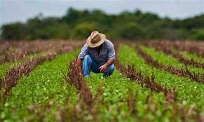 DESARROLLO AGROALIMENTARIO Y AGROINDUSTRIAL DEL ISTMO DE TEHUANTEPEC