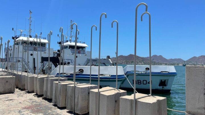 SEMBRANDO BLOQUES DE CONCRETO EN LA ZONA DE CERO