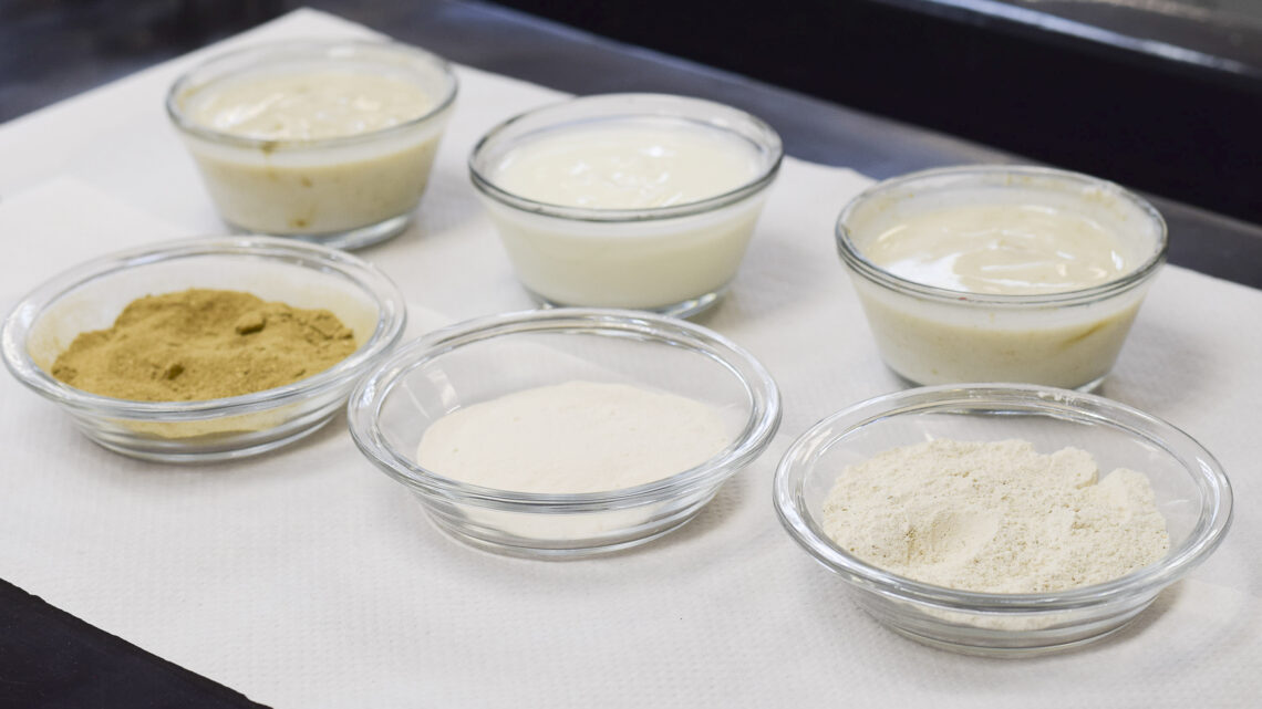 BEBIDAS FERMENTADAS PARA REDUCIR SOBREPESO Y OBESIDAD