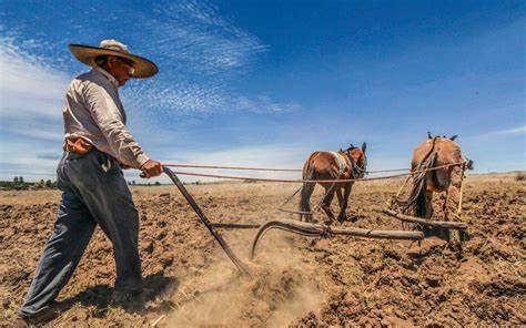 INDICADOR GLOBAL DE LA ACTIVIDAD ECONÓMICA, JUNIO 2022