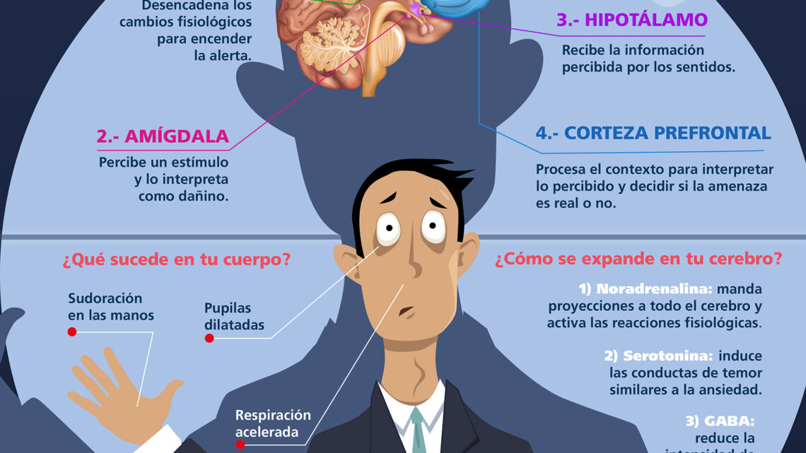 DESDE LA OSCURIDAD HASTA LA MUERTE: EL ORIGEN DEL MIEDO