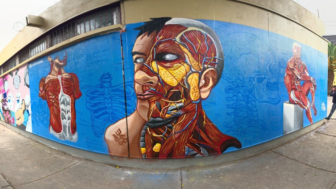 CON ARTE URBANO, PROMUEVE DONACIÓN DE ÓRGANOS Y TEJIDOS CON ARTE URBANO, PROMUEVE DONACIÓN DE ÓRGANOS Y TEJIDOS