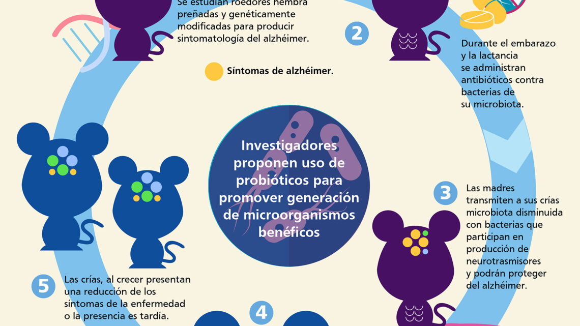 BACTERIAS EN LA ENFERMEDAD DE ALZHEIMER