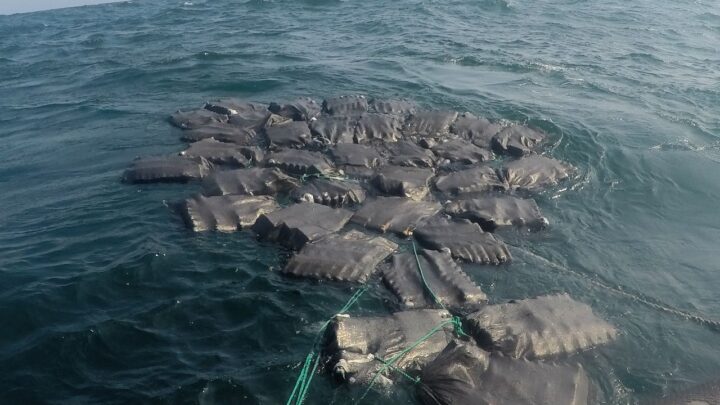 ASEGURAN EN ALTA MAR, MIL TRESCIENTOS DOCE KILOGRAMOS DE COCAÍNA, EN COSTA DE CHIAPAS ASEGURAN EN ALTA MAR, MIL TRESCIENTOS DOCE KILOGRAMOS DE COCAÍNA, EN COSTA DE CHIAPAS