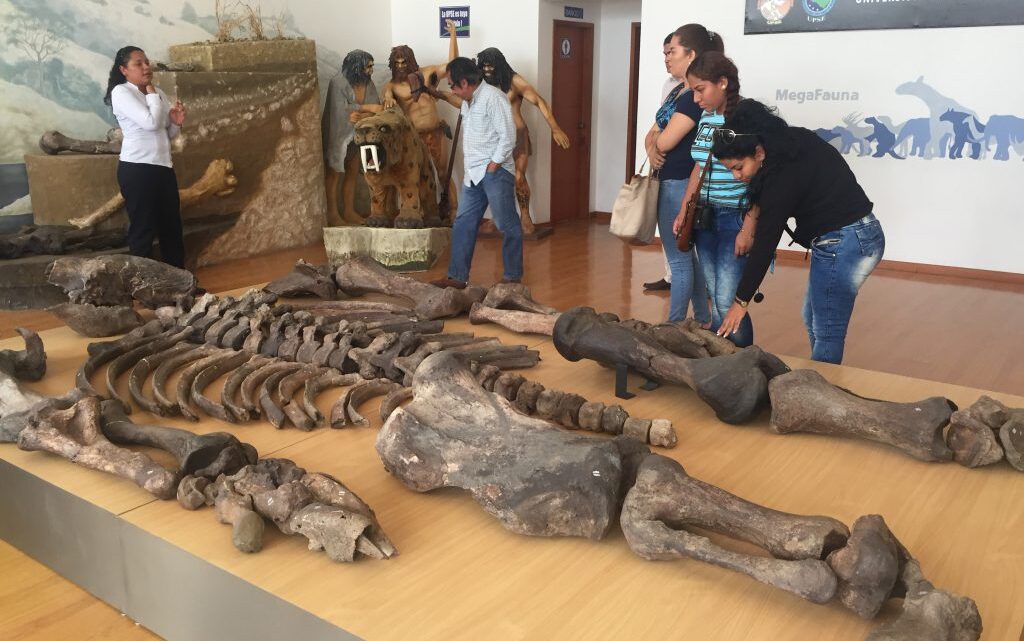 MÉXICO BUSCA SU 3ER. GEOPARQUE EN LA RED GLOBAL DE LA UNESCO MÉXICO BUSCA SU 3ER. GEOPARQUE EN LA RED GLOBAL DE LA UNESCO