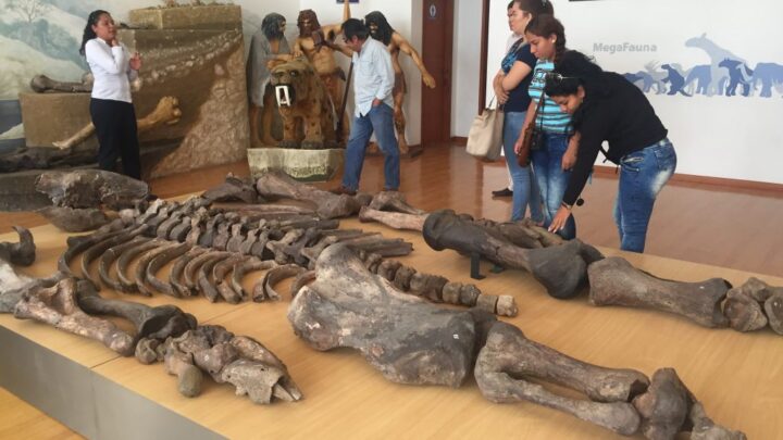 MÉXICO BUSCA SU 3ER. GEOPARQUE EN LA RED GLOBAL DE LA UNESCO