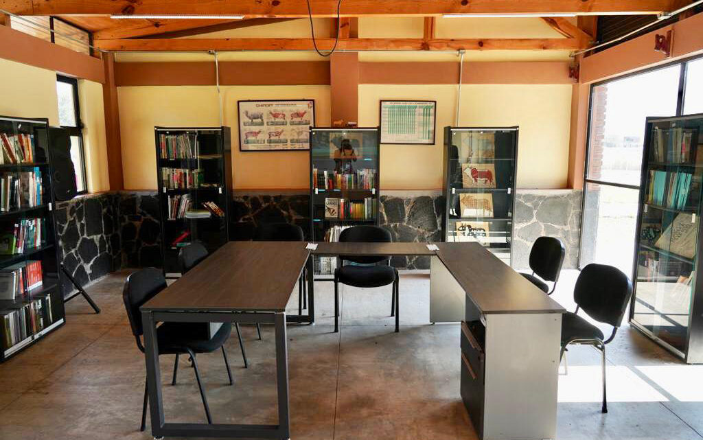 CINCO NUEVAS UNIVERSIDADES EN MICHOACÁN