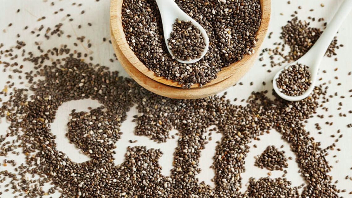 CON CHÍA BUSCAN PRODUCIR FORRAJE ALTAMENTE NUTRITIVO CON CHÍA BUSCAN PRODUCIR FORRAJE ALTAMENTE NUTRITIVO