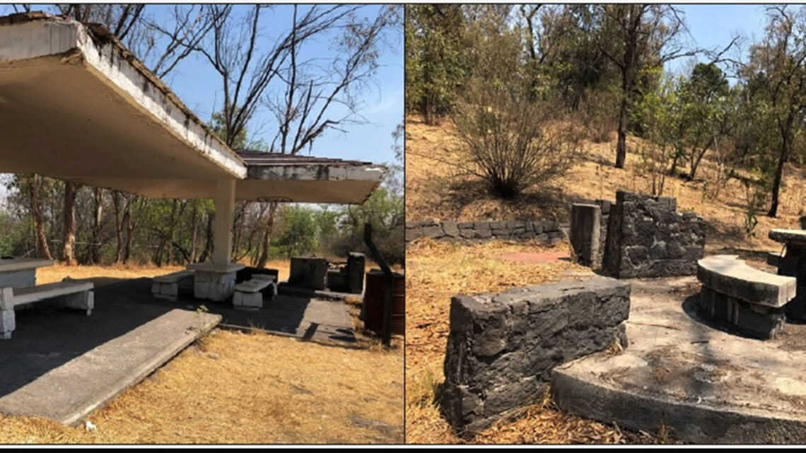 EL SUELO, BASE DE LA VIDA EL SUELO, BASE DE LA VIDA